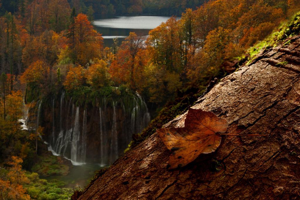 Guesthouse Villa Plitvicka Плитвицкие озёра Номер фото